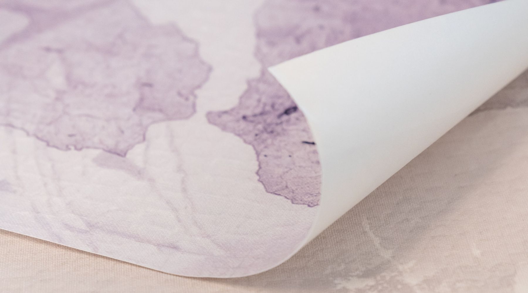 carta da parati belardi